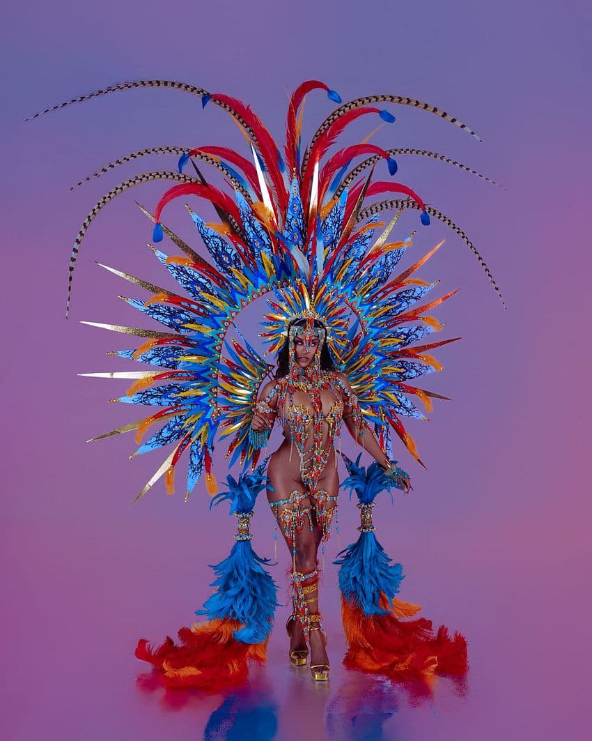 Package image