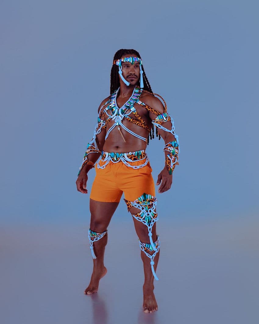 Package image