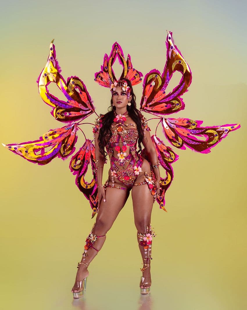 Package image