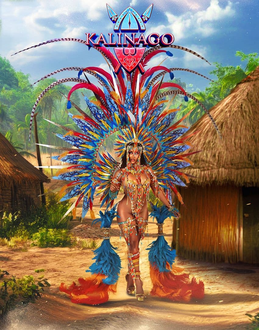 Package image