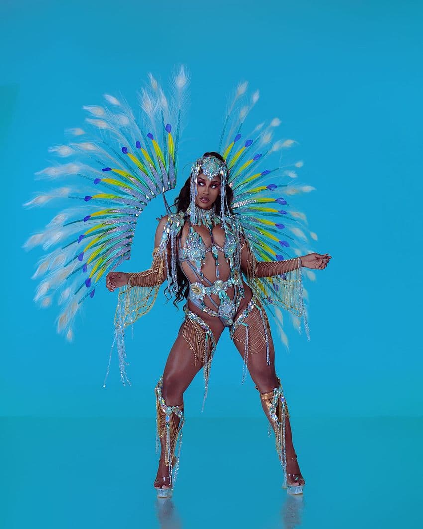 Package image