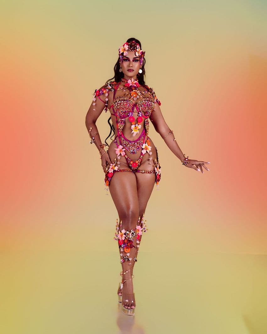 Package image