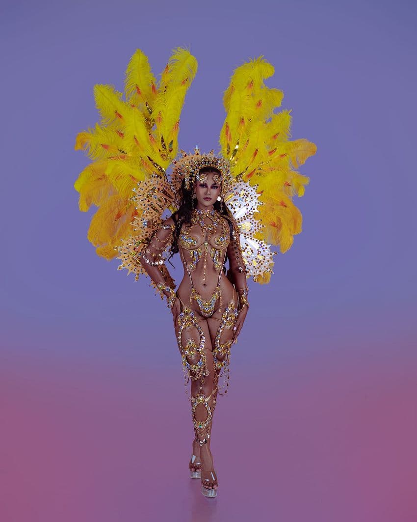 Package image