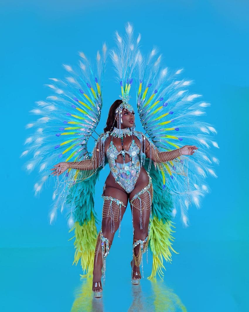Package image