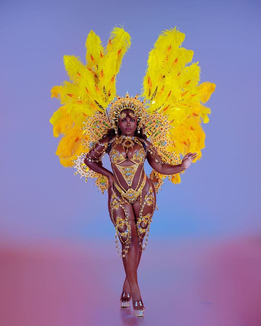 Package image