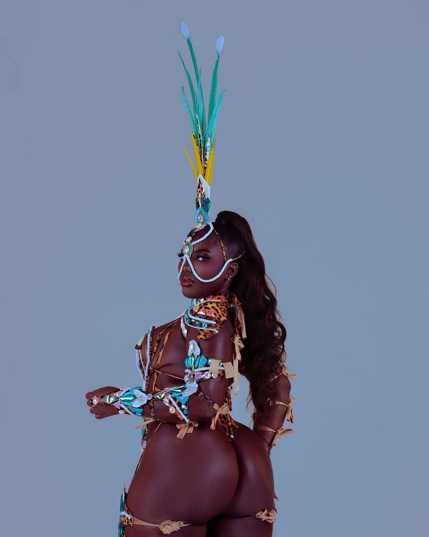 Package image