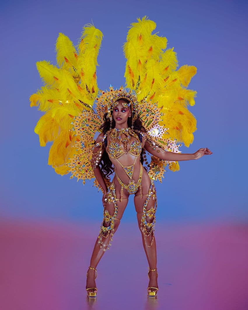 Package image