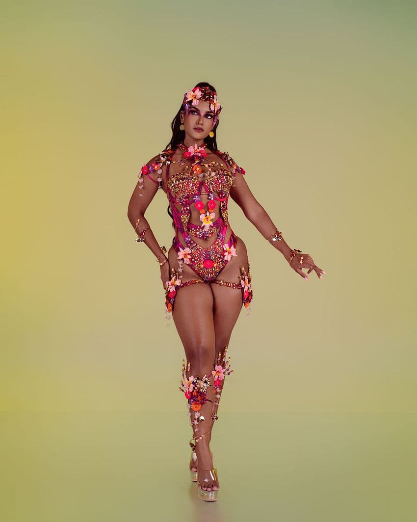 Package image