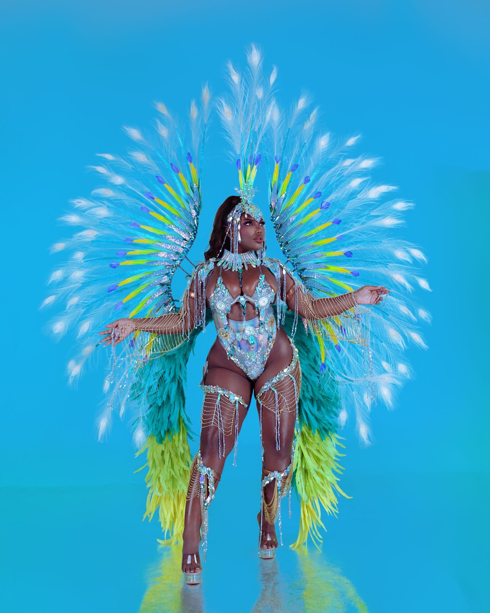 Package image