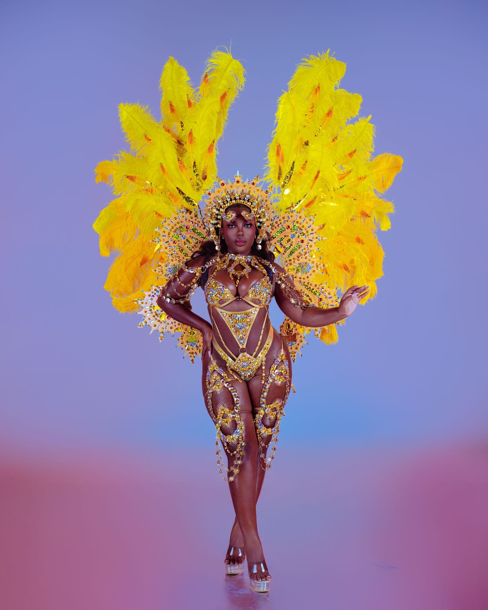 Package image